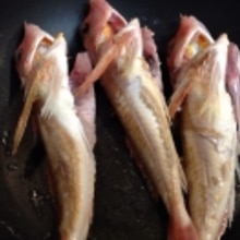 手軽に作りましょう ホウボウのブイヤベース レシピ 作り方 By アボカドプリン 楽天レシピ 手軽に作りましょう ホウボウのブイヤベース レシピ 作り方 By アボカドプリン 楽天レシピ